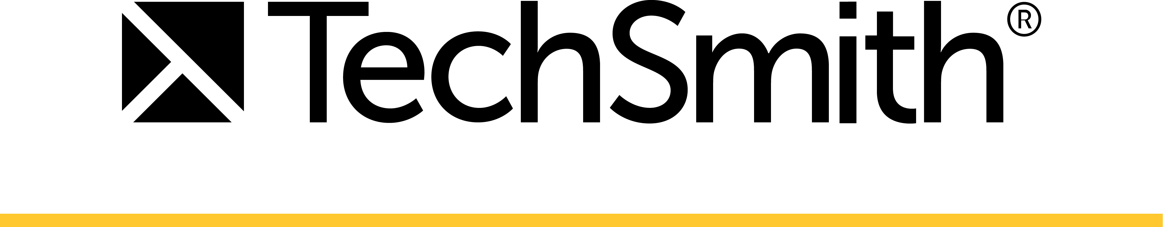 Logo Primary TechSmith3x