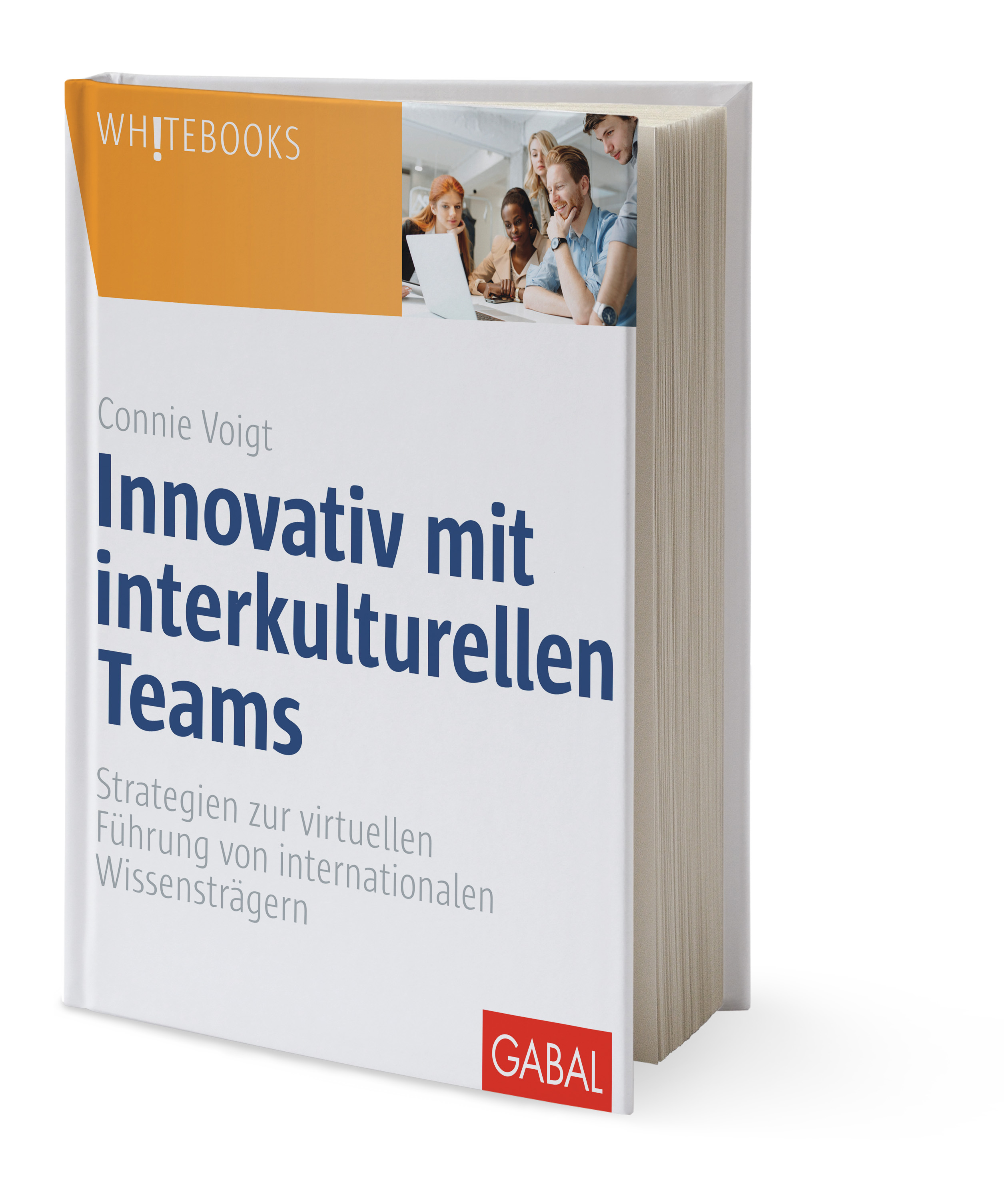 Voigt Innovativ mit interkulturellen Teams